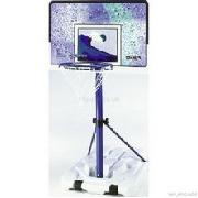 Lifetime Basketball Poolside Portable System