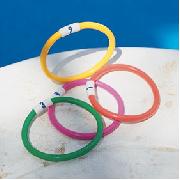 Dive Sinkers Pool Toy