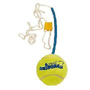 Replacement Swingball and Tether
